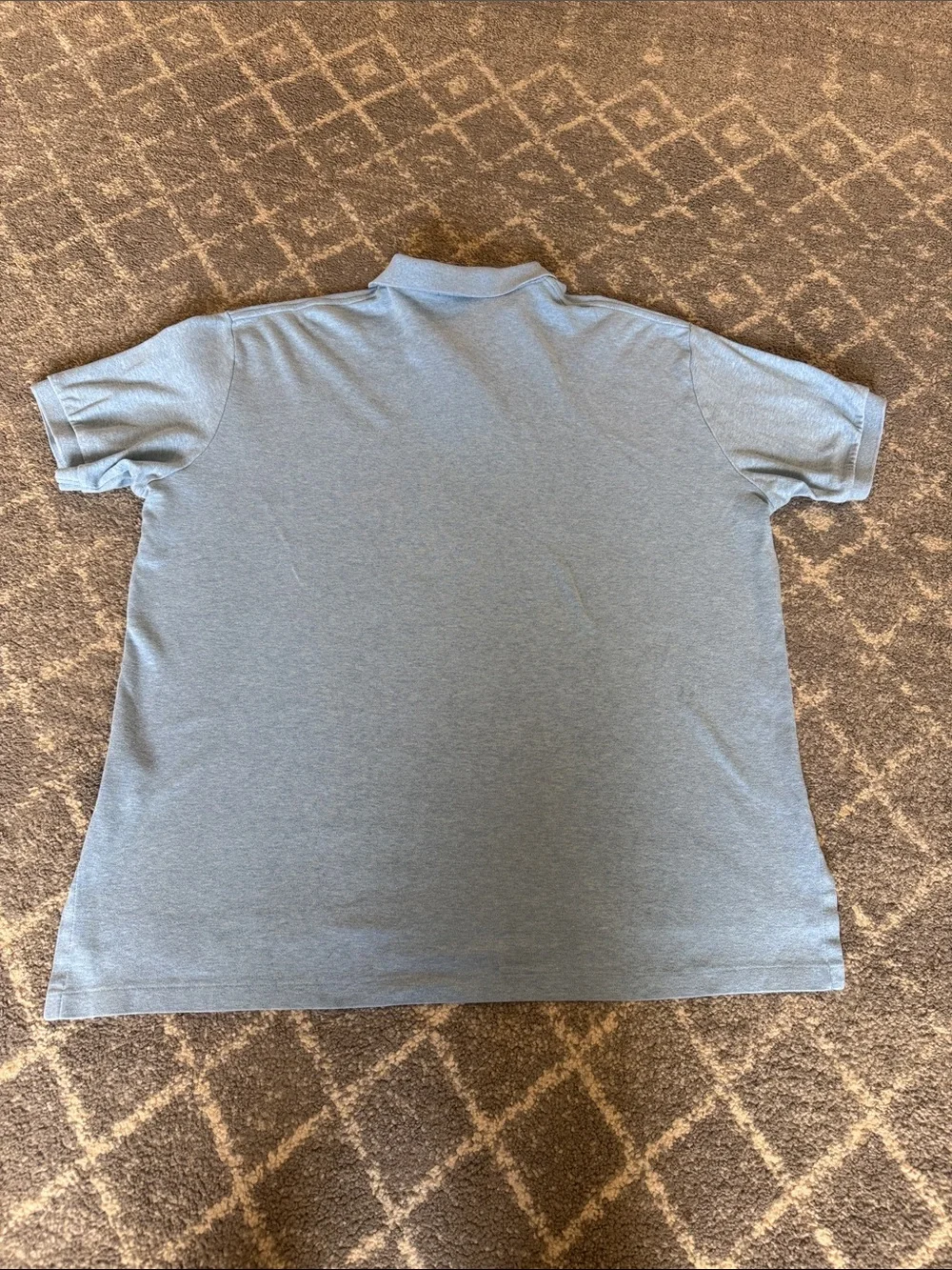 Polo by Ralph Lauren Sky Blue Cotton Polo with Embroidered Maroon Pony